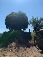 新福寺(千葉県)