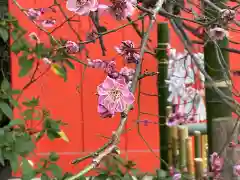 花園神社の自然