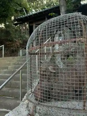紀伊神社の{uncategorized: "未分類", other: "その他", undefined: "問題あり", building: "その他建物", grave: "お墓", sacred_gate: "鳥居", guardian: "狛犬", statue: "像", buddha: "仏像", history: "歴史", nature: "自然", garden: "庭園", animal: "動物", pagoda: "塔", temizu: "手水舎", mountain_gate: "山門・神門", sanctuary: "本殿・本堂", subordinate: "末社・摂社", art: "芸術", scenery: "景色", jizo: "地蔵", ema: "絵馬", goshuin: "御朱印", omikuji: "おみくじ", items: "授与品その他", amulet: "お守り", goshuincho: "御朱印帳", eats: "食事", festival: "お祭り", votive_dance: "神楽", shichigosan: "七五三参", wedding: "結婚式", experience: "体験その他", initially: "初詣", around: "周辺", anti_infection: "感染症対策"}