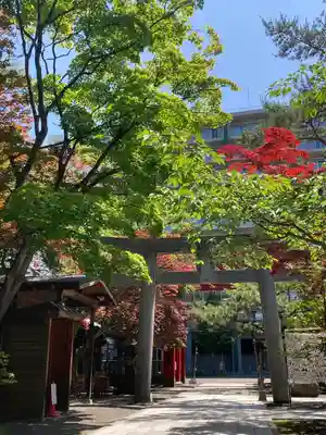 彌彦神社　(伊夜日子神社)の鳥居