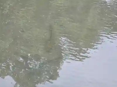 本庄神社(佐賀県)