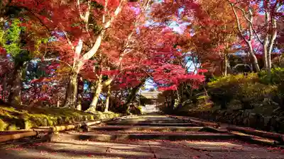 毘沙門堂門跡(京都府)