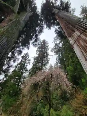 妙義神社(群馬県)