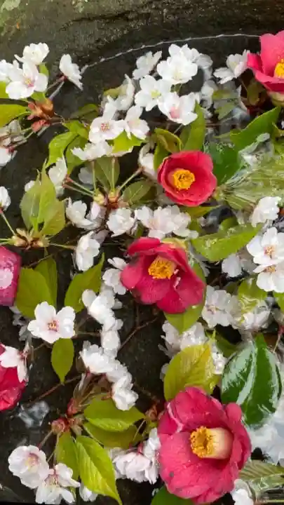岡部春日神社~👹鬼門よけの🌺花咲く🌺やしろ~(福島県)