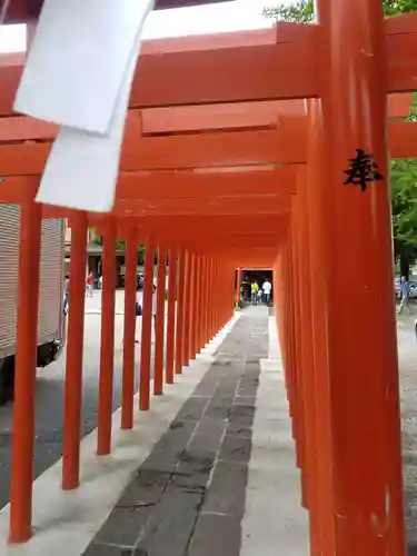 箭弓稲荷神社の鳥居