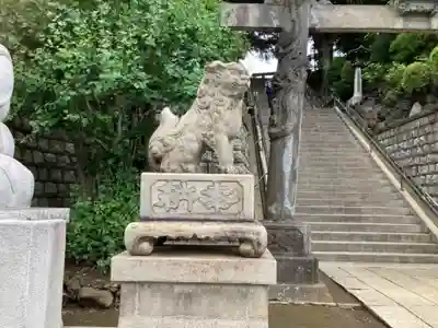 品川神社の狛犬