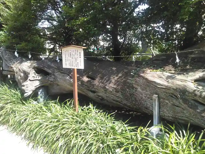瀬戸神社(神奈川県)