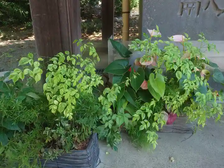 狭山八幡神社(埼玉県)
