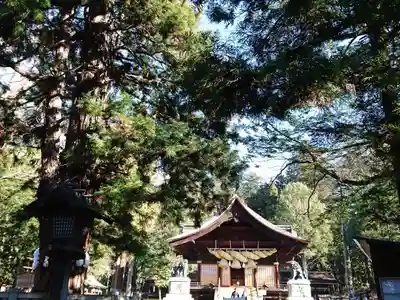 諏訪大社下社秋宮のその他建物