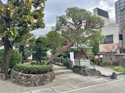 東覺寺の{uncategorized: "未分類", other: "その他", undefined: "問題あり", building: "その他建物", grave: "お墓", sacred_gate: "鳥居", guardian: "狛犬", statue: "像", buddha: "仏像", history: "歴史", nature: "自然", garden: "庭園", animal: "動物", pagoda: "塔", temizu: "手水舎", mountain_gate: "山門・神門", sanctuary: "本殿・本堂", subordinate: "末社・摂社", art: "芸術", scenery: "景色", jizo: "地蔵", ema: "絵馬", goshuin: "御朱印", omikuji: "おみくじ", items: "授与品その他", amulet: "お守り", goshuincho: "御朱印帳", eats: "食事", festival: "お祭り", votive_dance: "神楽", shichigosan: "七五三参", wedding: "結婚式", experience: "体験その他", initially: "初詣", around: "周辺", anti_infection: "感染症対策"}