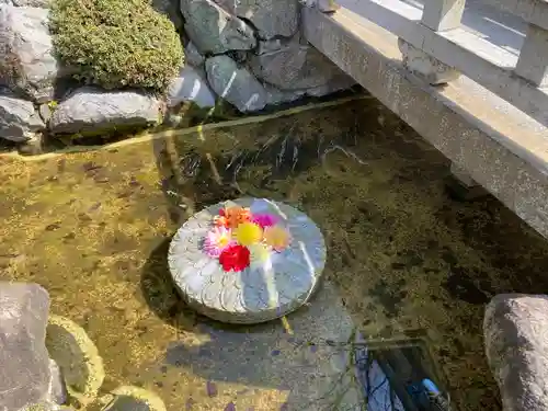 岡寺（龍蓋寺）(奈良県)