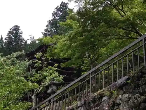 談山神社(奈良県)