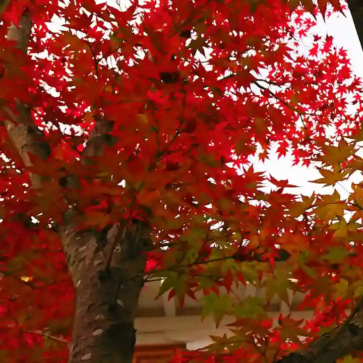 寿量山 速成寺の自然