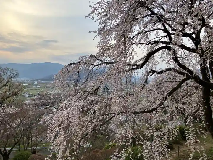 長谷寺(長野県)