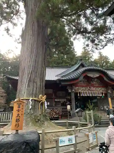 北口本宮冨士浅間神社の自然