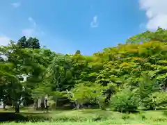 土津神社｜こどもと出世の神さまの景色