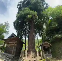 大生部兵主神社(兵庫県)