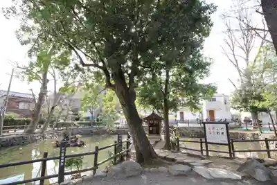 師岡熊野神社(神奈川県)