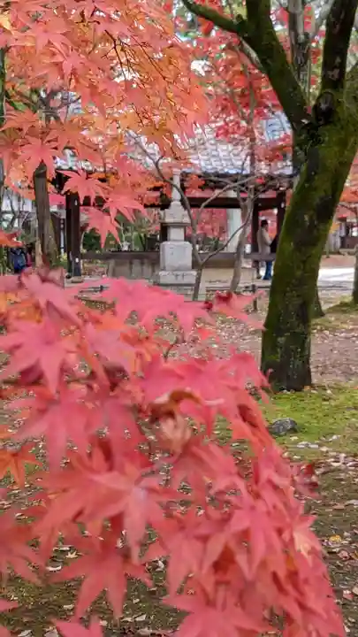 真正極楽寺(真如堂)(京都府)