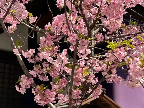 東京大神宮(東京都)