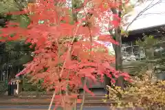 武蔵一宮氷川神社の自然