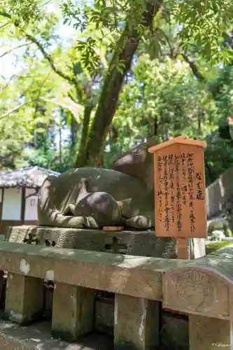 枚岡神社の狛犬