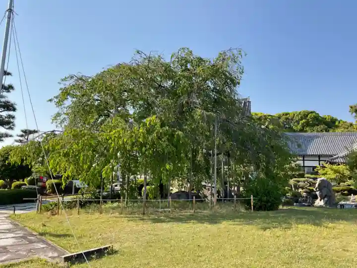 正眼寺(愛知県)