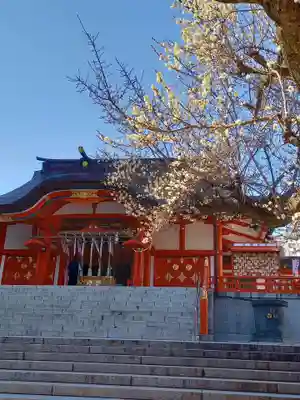 花園神社の本殿・本堂