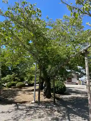 浄土寺(兵庫県)