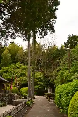 長泉院(埼玉県)