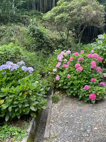 普門寺(切り絵御朱印発祥の寺)の自然