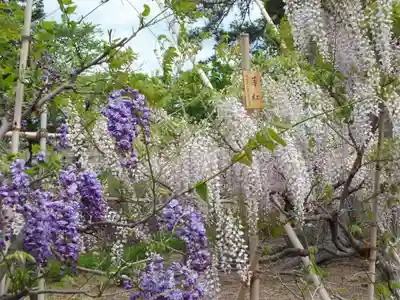 志那神社の自然