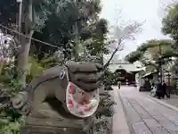菊田神社の狛犬