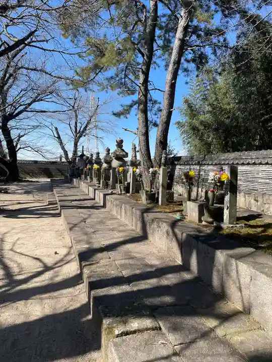 大樹寺(松安院大樹寺)のお墓