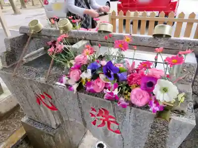 大宮・大原神社の手水舎
