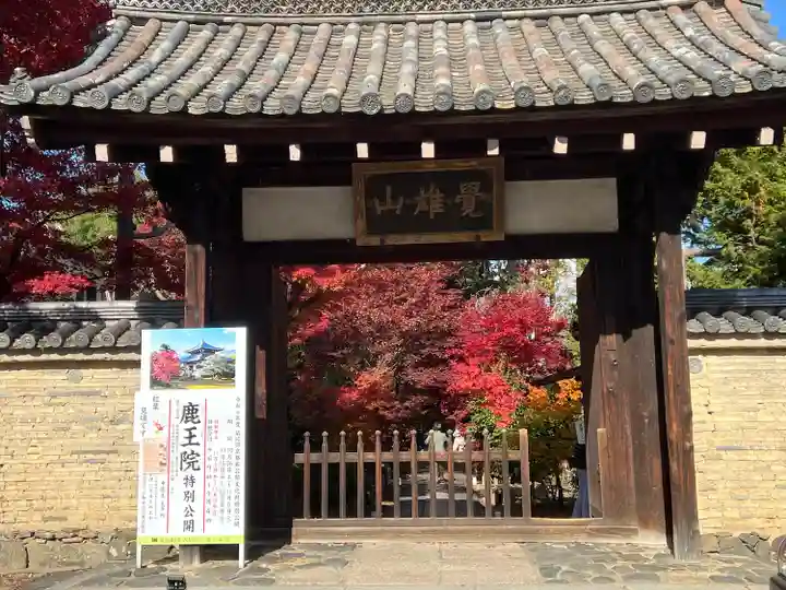 鹿王院(京都府)