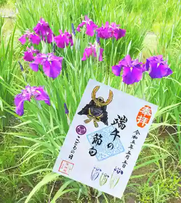 こどもの日限定御朱印 端午の節句ーこどもの日ー
「家康公の兜と菖蒲」
子供たちの健康と笑顔が続くよう、そして世界の平和を祈念いたしました。