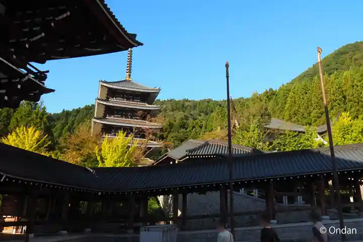 清大寺(越前大仏)(福井県)