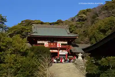 鶴岡八幡宮(神奈川県)