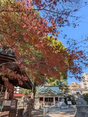 荻窪白山神社(東京都)
