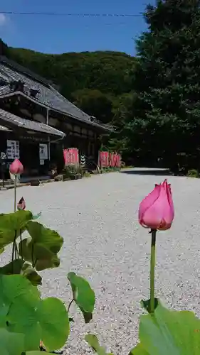 普門寺(切り絵御朱印発祥の寺)のその他建物