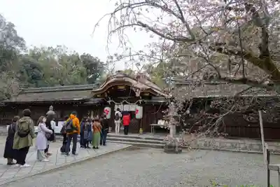 平野神社(京都府)
