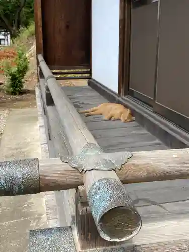 門田稲荷神社(栃木県)