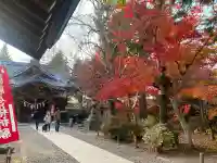 懐古神社の{uncategorized: "未分類", other: "その他", undefined: "問題あり", building: "その他建物", grave: "お墓", sacred_gate: "鳥居", guardian: "狛犬", statue: "像", buddha: "仏像", history: "歴史", nature: "自然", garden: "庭園", animal: "動物", pagoda: "塔", temizu: "手水舎", mountain_gate: "山門・神門", sanctuary: "本殿・本堂", subordinate: "末社・摂社", art: "芸術", scenery: "景色", jizo: "地蔵", ema: "絵馬", goshuin: "御朱印", omikuji: "おみくじ", items: "授与品その他", amulet: "お守り", goshuincho: "御朱印帳", eats: "食事", festival: "お祭り", votive_dance: "神楽", shichigosan: "七五三参", wedding: "結婚式", experience: "体験その他", initially: "初詣", around: "周辺", anti_infection: "感染症対策"}