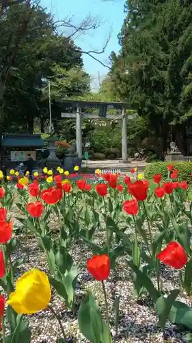 駒形神社の庭園