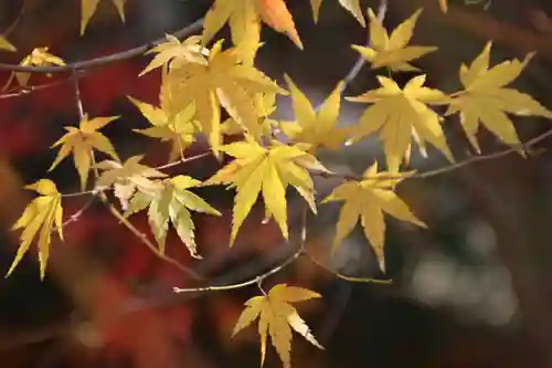 滑川神社 - 仕事と子どもの守り神の庭園