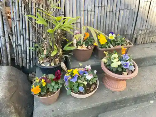 甘酒稲荷神社(東京都)