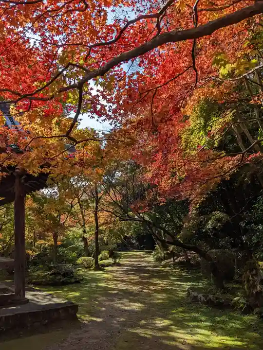 勝持寺(花の寺)(京都府)