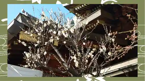湯島天満宮(東京都)