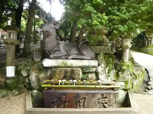 春日大社の手水舎